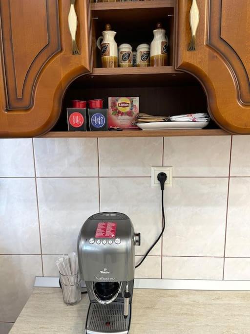 טימישוארה Apartment Superb Intr-O Locatie Premium מראה חיצוני תמונה