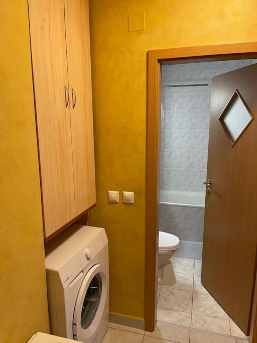 טימישוארה Apartment Superb Intr-O Locatie Premium מראה חיצוני תמונה